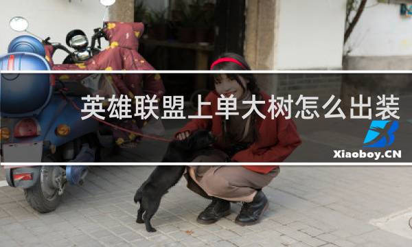 英雄联盟上单大树怎么出装