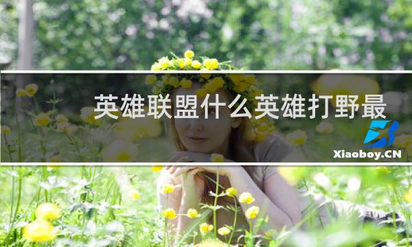 英雄联盟什么英雄打野最好图片