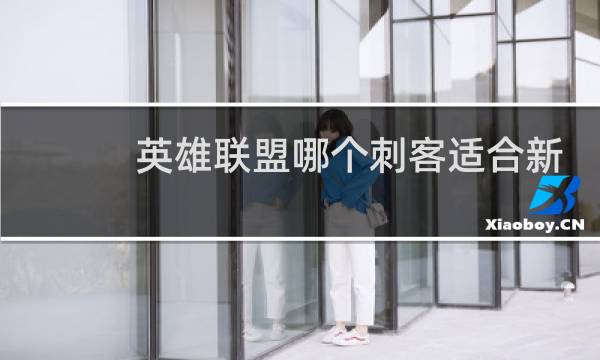 英雄联盟哪个刺客适合新手