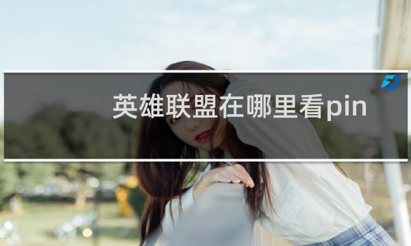 英雄联盟在哪里看pin图片