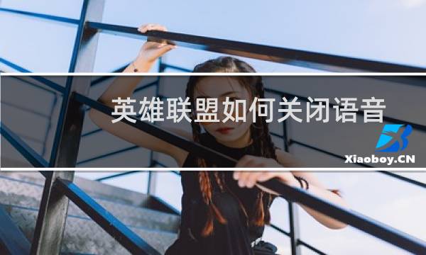 英雄联盟如何关闭语音图片