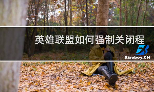 英雄联盟如何强制关闭程序图片