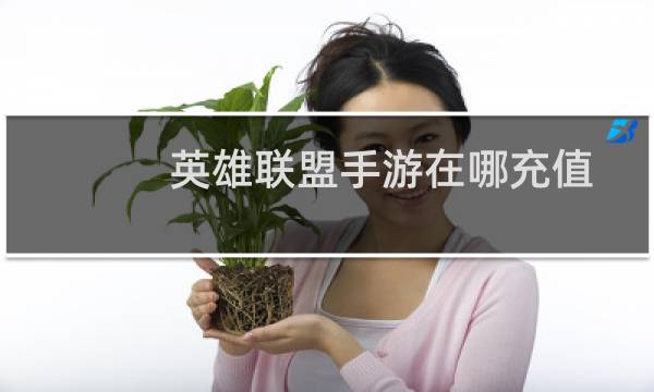 英雄联盟手游在哪充值