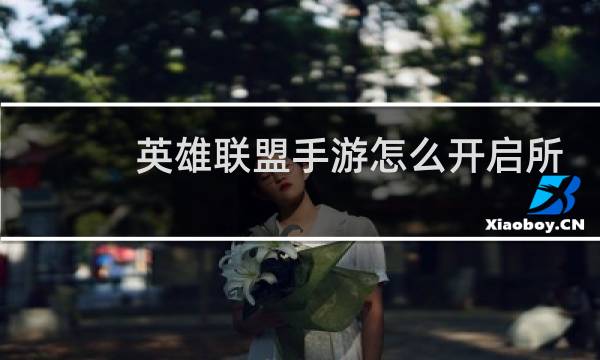 英雄联盟手游怎么开启所有人聊天