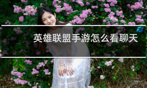 英雄联盟手游怎么看聊天记录