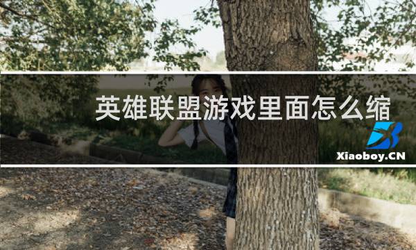 英雄联盟游戏里面怎么缩小图片