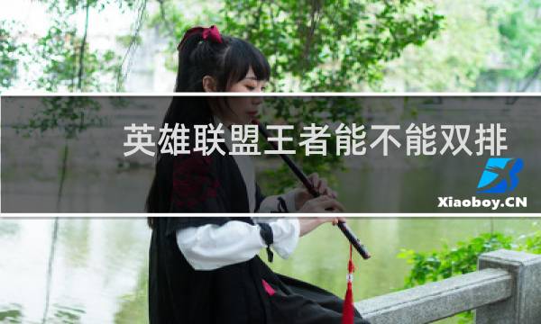 英雄联盟王者能不能双排图片