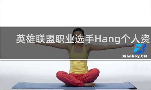 英雄联盟职业选手Hang个人资料-FPX辅助HANG介绍