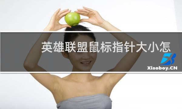 英雄联盟鼠标指针大小怎么调