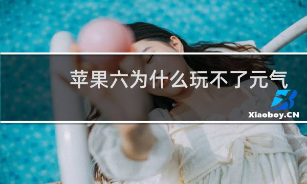 苹果六为什么玩不了元气骑士