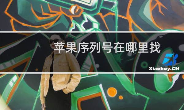 苹果序列号在哪里找