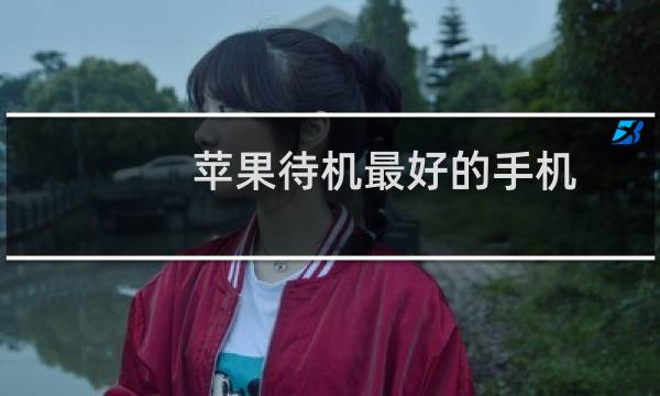 苹果待机最好的手机