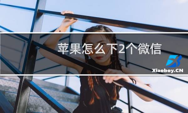 苹果怎么下2个微信