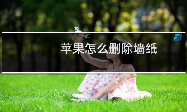 苹果怎么删除墙纸