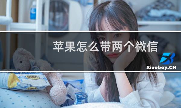 苹果怎么带两个微信