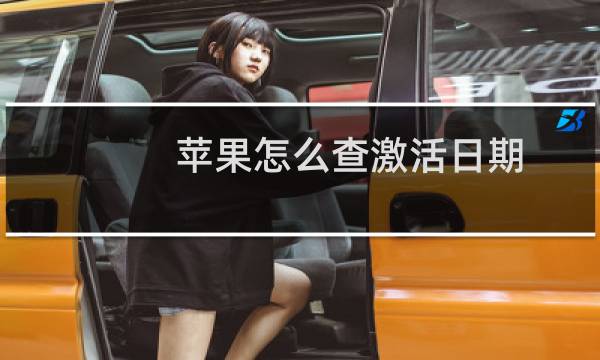 苹果怎么查激活日期（苹果查激活日期的教程）图片