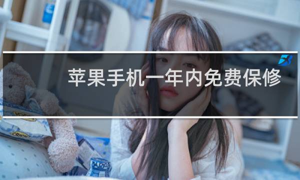 苹果手机一年内免费保修什么