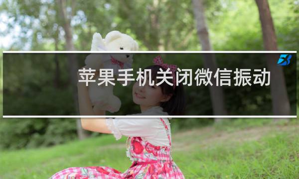 苹果手机关闭微信振动