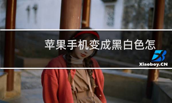 苹果手机变成黑白色怎么恢复彩色（手机变成黑白色怎么恢复彩色）图片