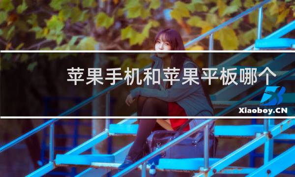 苹果手机和苹果平板哪个好