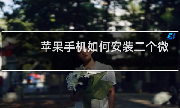 苹果手机如何安装二个微信