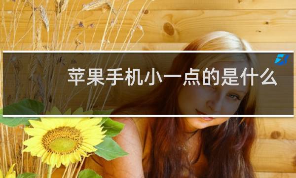 苹果手机小一点的是什么型号