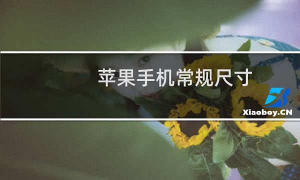 苹果手机常规尺寸