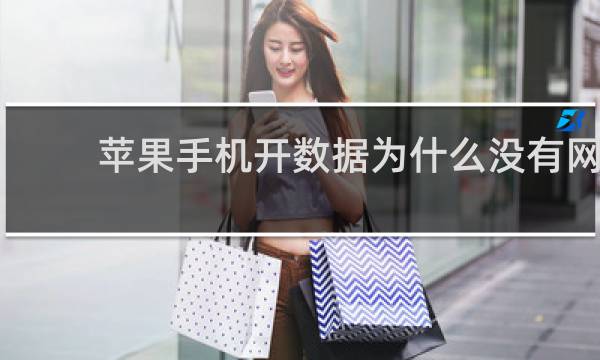 苹果手机开数据为什么没有网