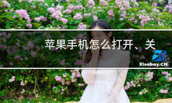 苹果手机怎么打开、关闭护眼模式