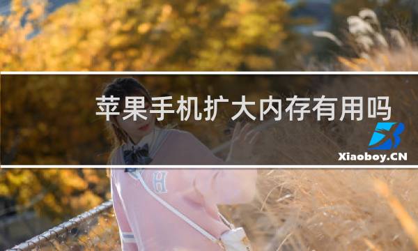 苹果手机扩大内存有用吗