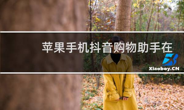 苹果手机抖音购物助手在哪里
