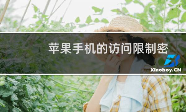 苹果手机的访问限制密码忘记了怎么办图片