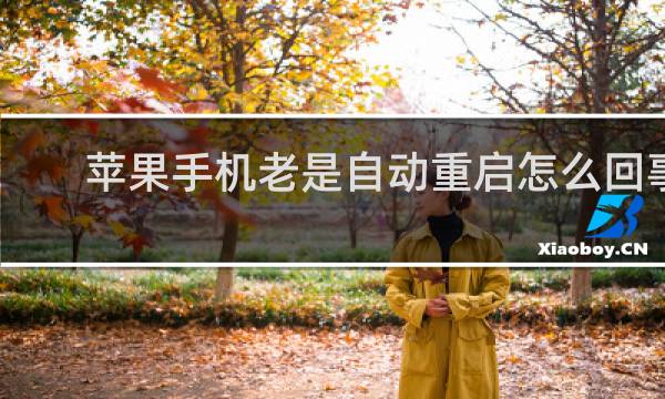 苹果手机老是自动重启怎么回事
