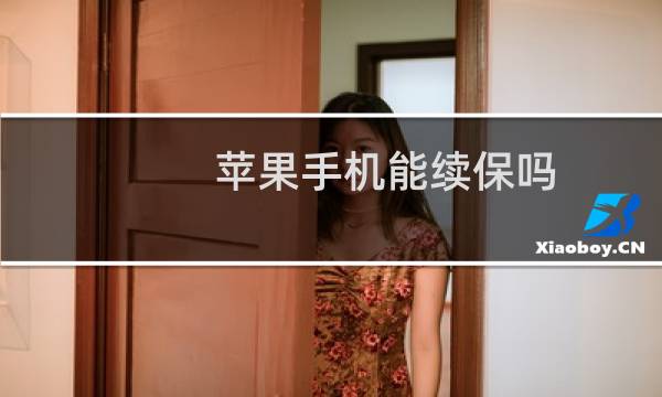 苹果手机能续保吗