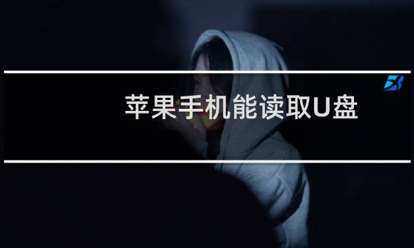 苹果手机能读取U盘