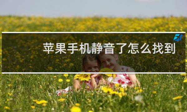 苹果手机静音了怎么找到