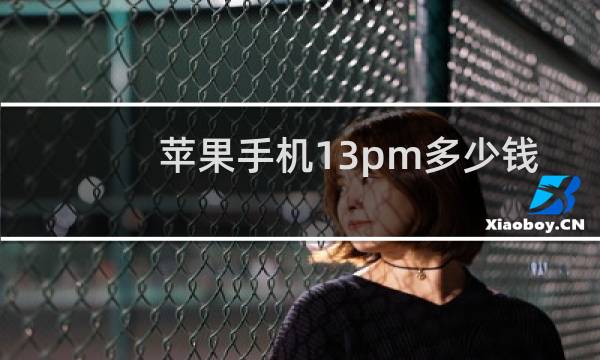苹果手机13pm多少钱