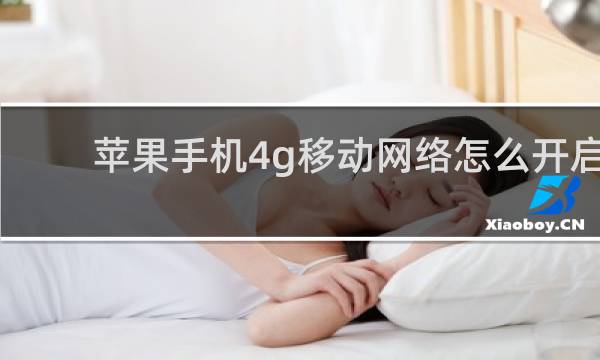 苹果手机4g移动网络怎么开启