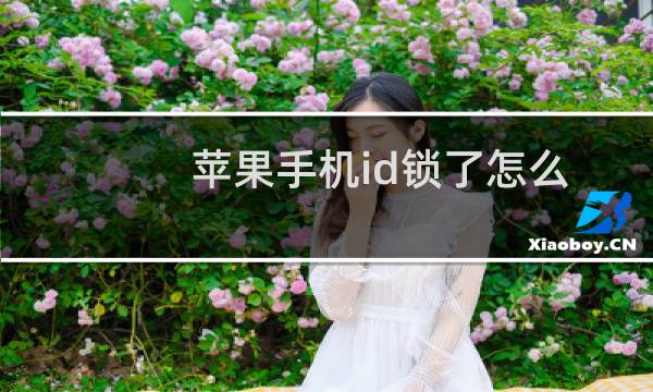 苹果手机id锁了怎么解