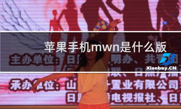 苹果手机mwn是什么版本