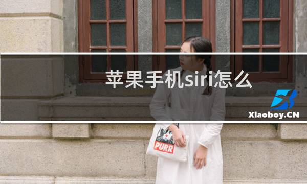 苹果手机siri怎么打开没声音（苹果手机siri怎么打开）