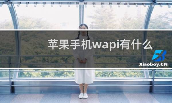 苹果手机wapi有什么用