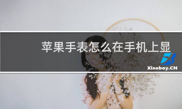 苹果手表怎么在手机上显示