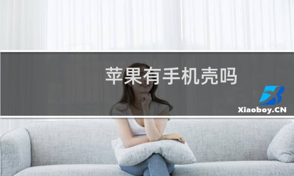 苹果有手机壳吗