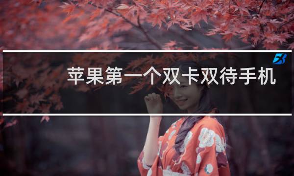 苹果第一个双卡双待手机