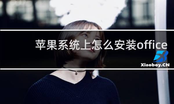苹果系统上怎么安装office