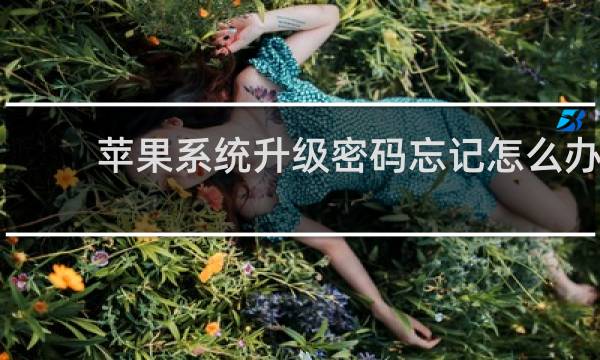 苹果系统升级密码忘记怎么办