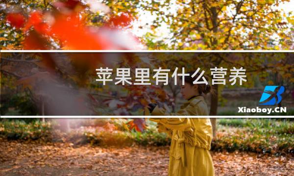 苹果里有什么营养