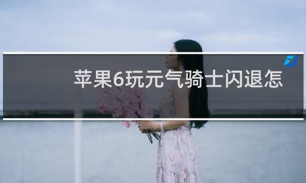 苹果6玩元气骑士闪退怎么办