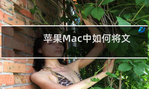 苹果Mac中如何将文件快速彻底地删除